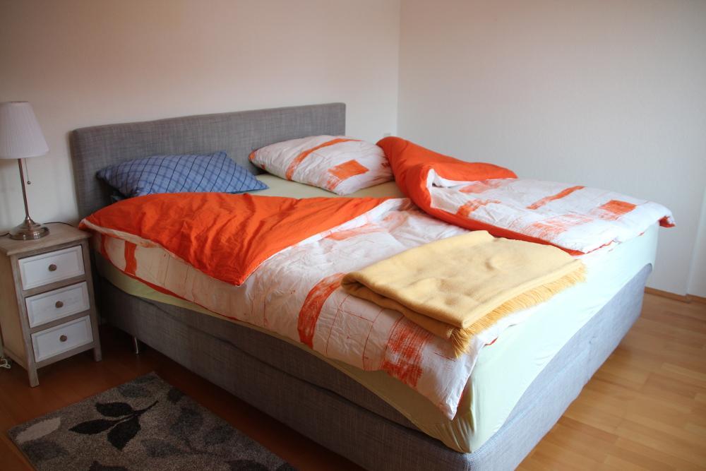 Apartment Am Fluss/Park Leipzig Ngoại thất bức ảnh